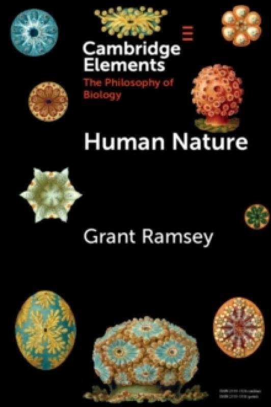 Image of Human Nature by D.W Winnicott Paperback