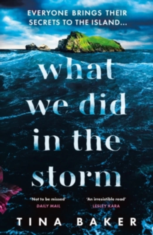 Image of What We Did In The Storm Paperback / softback