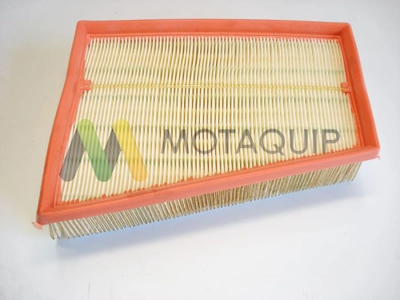 Image of MOTAQUIP Air filter MOTAQUIP LVFA1424