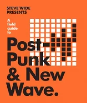 Image of field guide to post punk and new wave