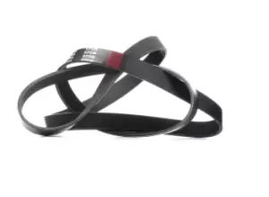 Image of RIDEX V-ribbed belt MERCEDES-BENZ,RENAULT,PEUGEOT 305P0323 1333734,1364060,252124A650 252124A750,252124A650,252124A750,1172000Q1T,1172000Q5C