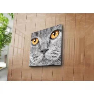 Image of 4545NAT-29 Multicolor Decorative Canvas Painting