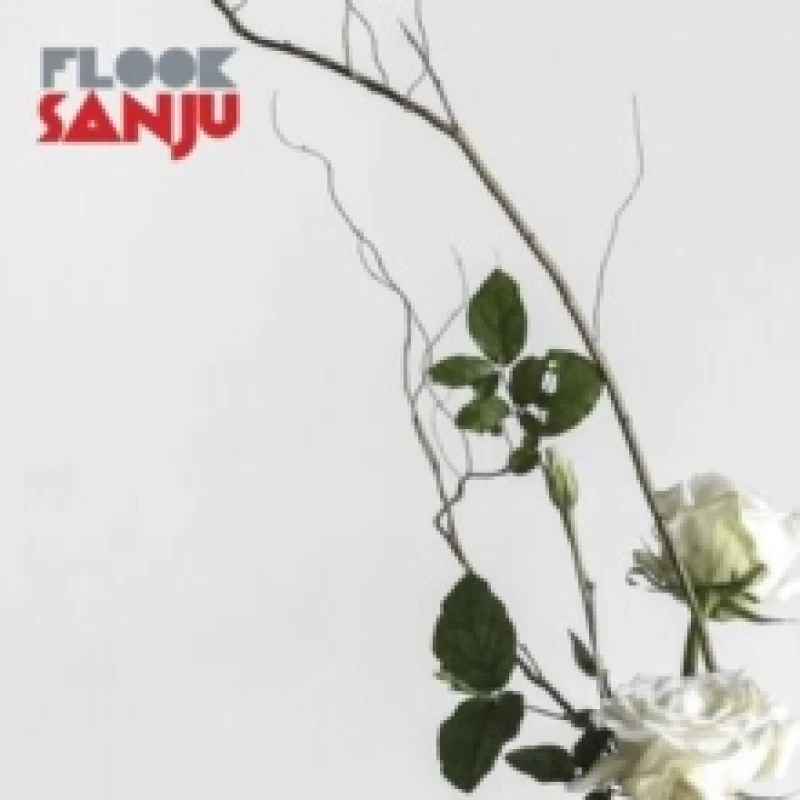 Image of Sanju Vinyl