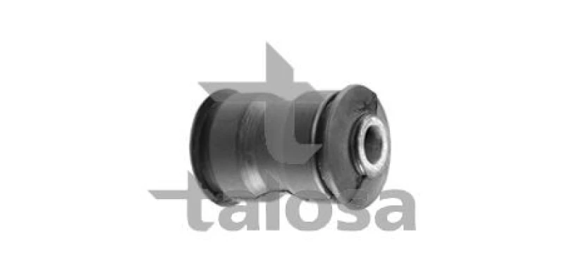 Image of TALOSA Mounting, leaf spring TALOSA 64-04838