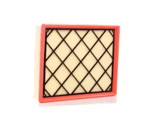 Image of Dr!ve+ Air filter Filter Insert DP1110.10.0396 Engine air filter,Engine filter FORD,Focus Mk4 Turnier (HP),Focus Mk4 Schragheck (HN),Kuga Mk3