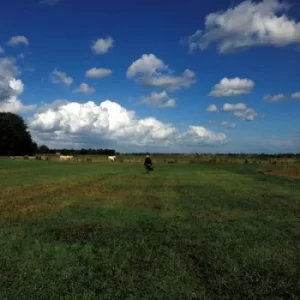 Image of The Hilvarenbeek by Biosphere CD Album