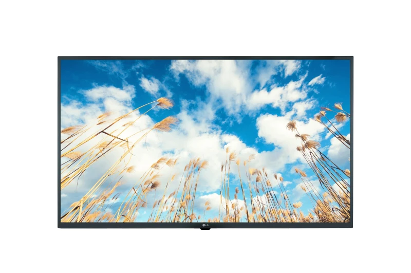 Image of LG 55UM767H0LJ 139.7cm (55") 4K Ultra HD 380 cd/m² Smart TV Grey 20 W 55UM767H0LJ.AEK