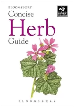 Image of Concise herb guide - Paperback - Used