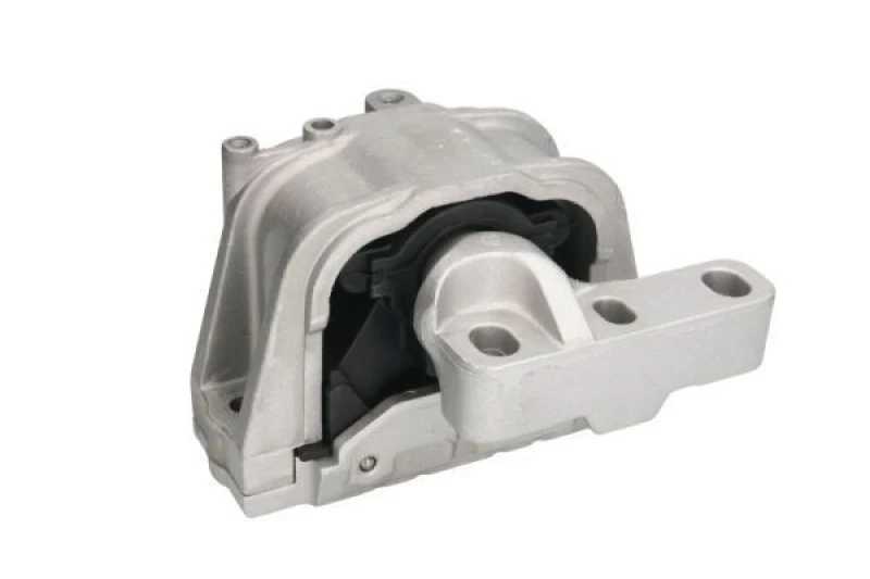 Image of REINHOCH Holder, engine mounting REINHOCH RH11-0022