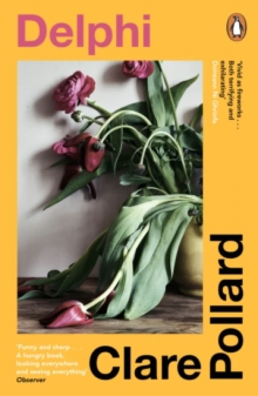 Image of Delphi. Paperback. By Clare Pollard Books