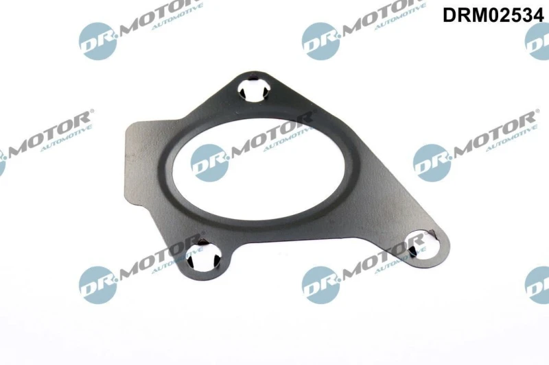 Image of DR.MOTOR AUTOMOTIVE Inlet manifold gasket DR.MOTOR AUTOMOTIVE DRM02534