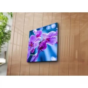 Image of 4545NAT-34 Multicolor Decorative Canvas Painting