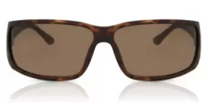 image of Police Sunglasses SPLB46 ORIGINS 40 0738