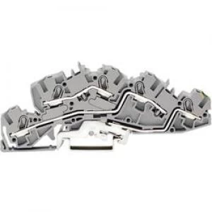 Image of Industrial terminal block 6.20 mm Pull spring Configuration L L Terre