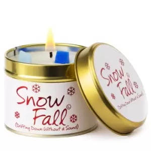 Image of Snow Fall