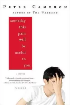 Image of Someday This Pain Will Be Useful to You by Peter Cameron