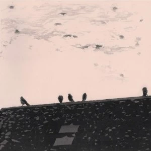 Image of Arrhythmia - Stuart Staples CD