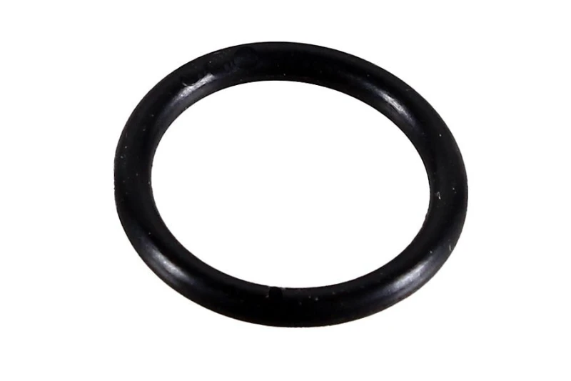 Image of Seal Ring METZGER 2430022