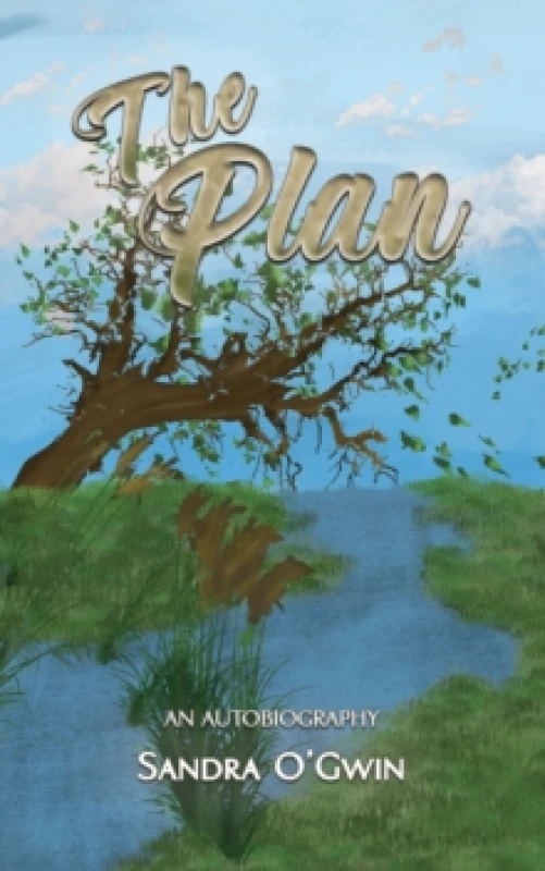 Image of The Plan. Hardback. By Sandra OGwin Books