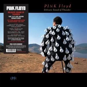 Image of Pink Floyd - Delicate Sound Of Thunder Vinyl
