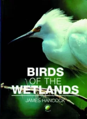 Image of Birds of the wetlands by James Hancock