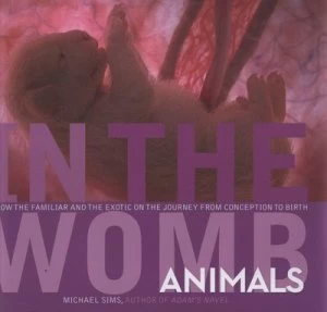 Image of In the Womb by Michael Sims Hardback