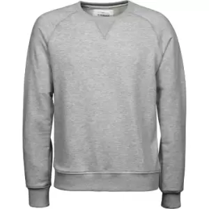 Image of Tee Jays Mens Urban Raglan Sweatshirt (XL) (Heather Grey)