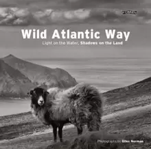 Image of Wild Atlantic Way : Light on the water, shadows on the land
