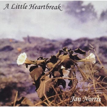 image of Jan Norris - A Little Heartbreak CD