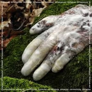 Image of Antwood - Virtuous.scr Vinyl
