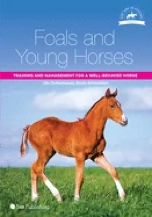Image of foals and young horses training and management for a well behaved horse