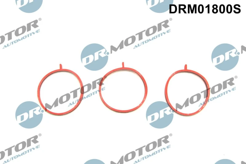 Image of DR.MOTOR AUTOMOTIVE Gasket Set, intake manifold DR.MOTOR AUTOMOTIVE DRM01800S