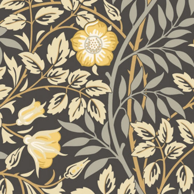 Image of Hoopla Walls Rosehip Trail Chalkboard Smooth Matt Wallpaper