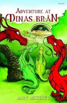 Image of Adventure at Dinas Brn by Mary Mestecky
