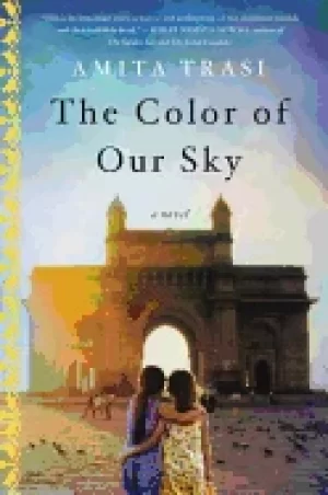 Image of color of our sky a novel