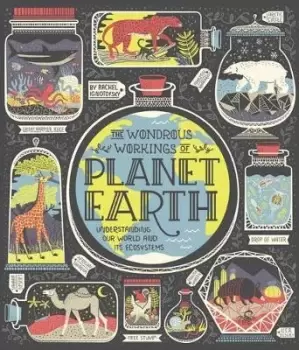 Image of The Wondrous Workings of Planet Earth by Rachel Ignotofsky
