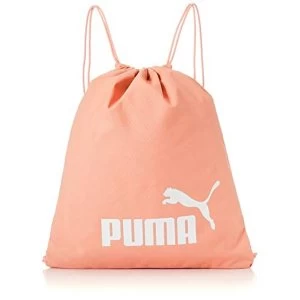 image of Puma Phase Gym Sack Apricot Blus