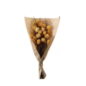 image of Crossland Grove Dried Thistle Bundle In Paper Wrap Ochre H540Mm