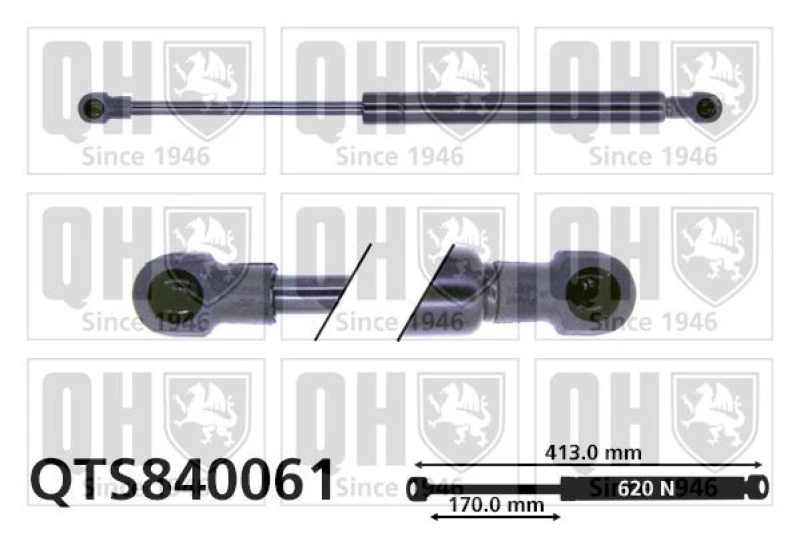 Image of QUINTON HAZELL Tailgate strut QUINTON HAZELL QTS840061