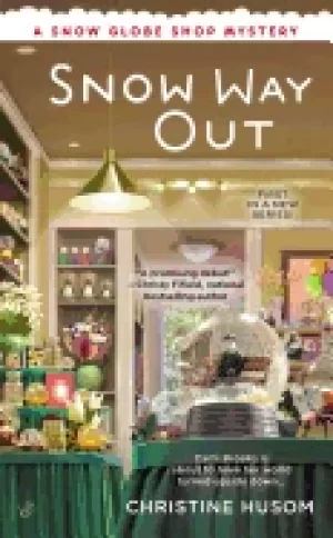 Image of snow way out