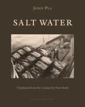 Image of Salt Water by Josep Pla