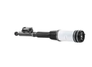 Image of RIDEX Air Spring Strut 4118A0005 MERCEDES-BENZ,S-Klasse Limousine (W220)