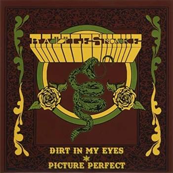 Image of Rattlesnake - Dirt in My Eyes/Picture Perfect Vinyl