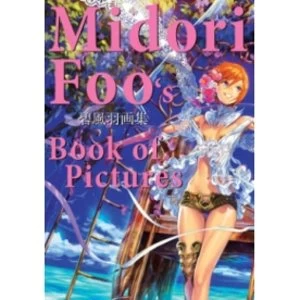 Image of Midori Foo's Book of Pictures