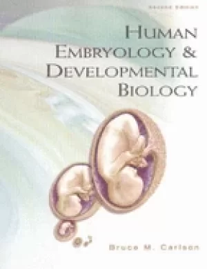 Image of human embryology and developmental biology
