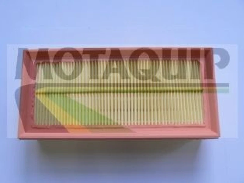 Image of MOTAQUIP Air filter MOTAQUIP VFA1214