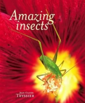 Image of Amazing Insects by Jean-Claude Teyssier and Jean-Henri Fabre Hardback