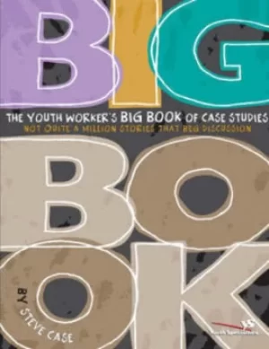Image of The youth workers big book of case studies by Steve L Case
