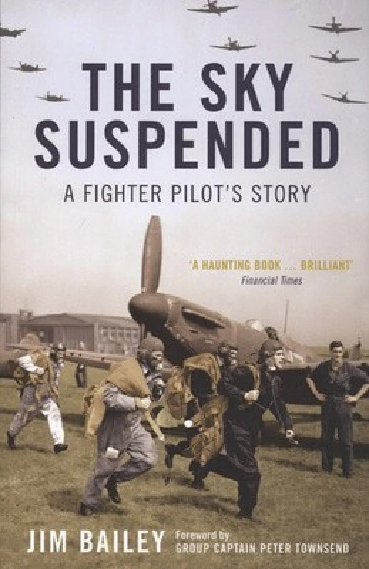 Image of The Sky Suspended by Jim Bailey Book
