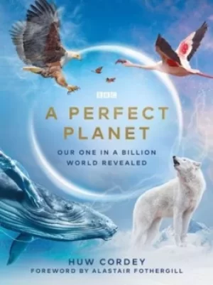 Image of A perfect planet by Huw Cordey